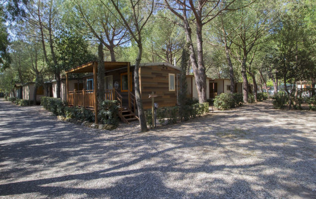 Gineprino - Photo 10