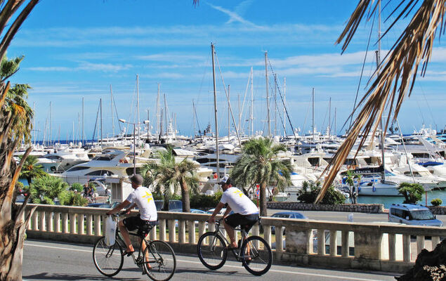 Cavalluccio - Photo 22