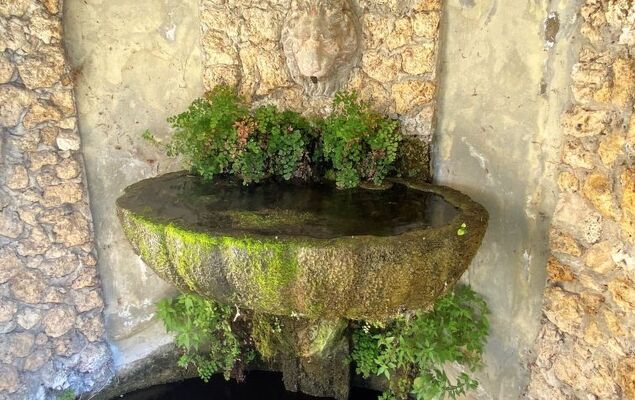 Villa Grassina - Photo 41