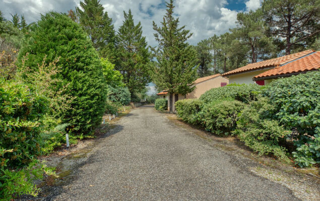 Les Cracks - Les As - Photo 20