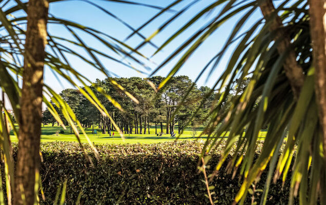 Mer et Golf - Photo 16