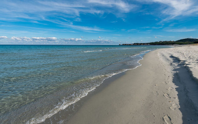 Selema Camping - Photo 24