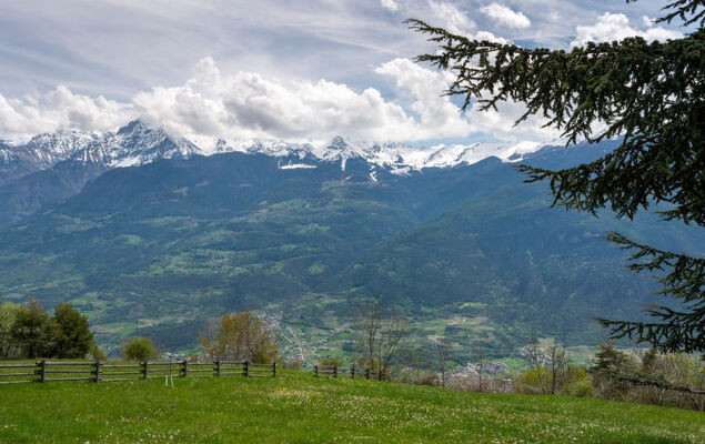 Aigle - Photo 29