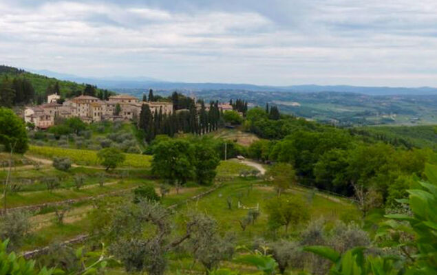 Tipologia Trilo - Photo 88