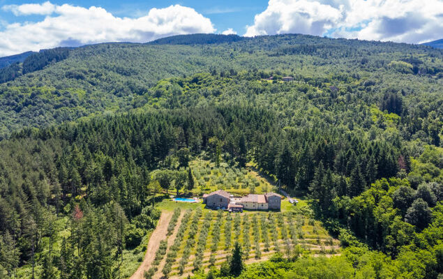 Certina 3 - Photo 27